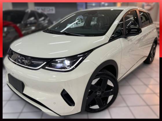 BYD DOLPHIN 45,1 KW ELÉTRICO SE